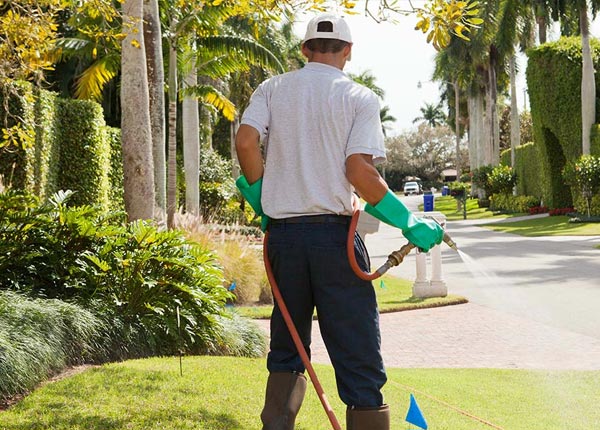About Melbeta NE Pest Control